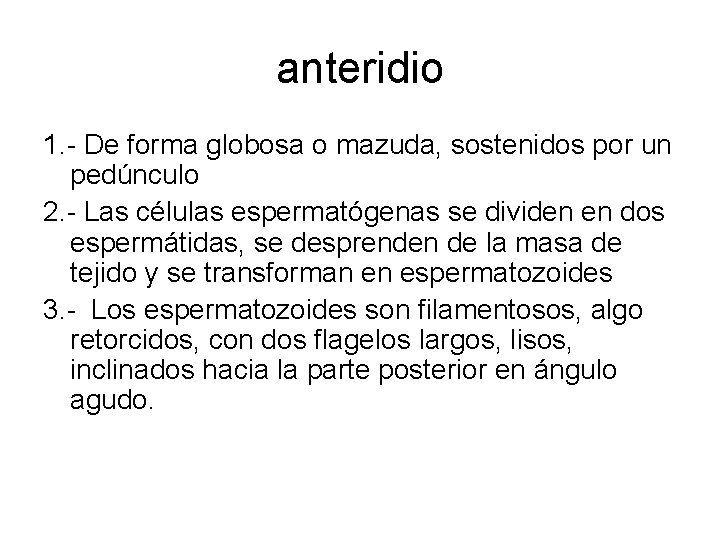 anteridio 1. - De forma globosa o mazuda, sostenidos por un pedúnculo 2. -