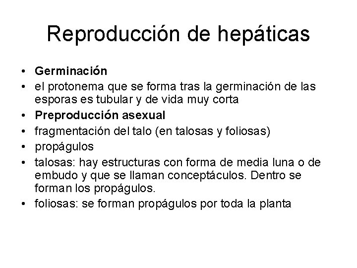 Reproducción de hepáticas • Germinación • el protonema que se forma tras la germinación