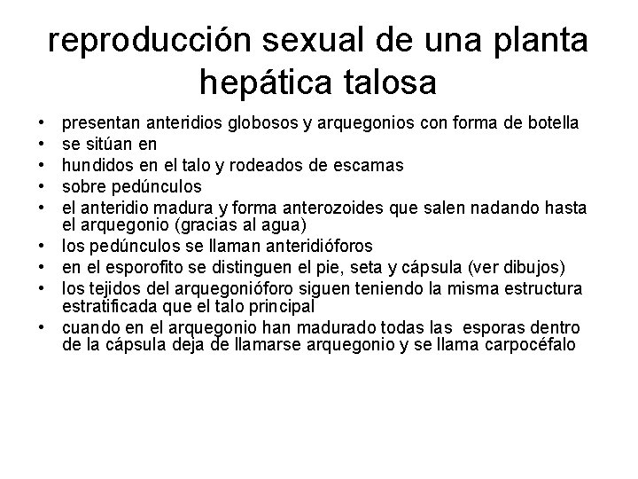 reproducción sexual de una planta hepática talosa • • • presentan anteridios globosos y
