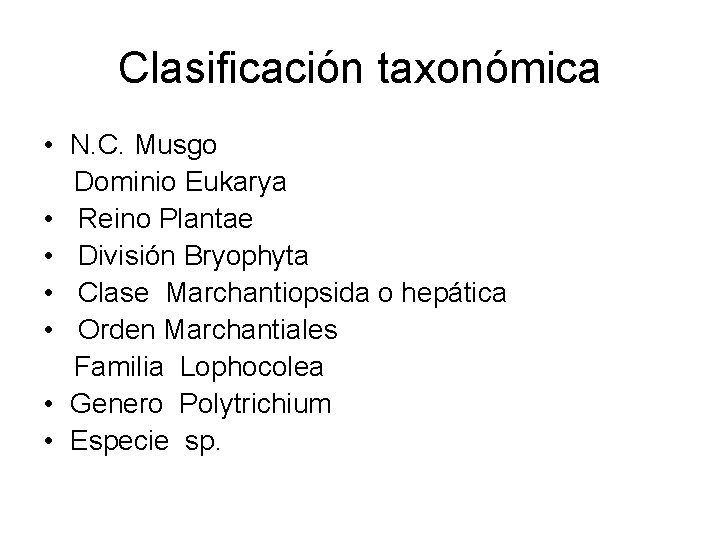 Clasificación taxonómica • N. C. Musgo Dominio Eukarya • Reino Plantae • División Bryophyta