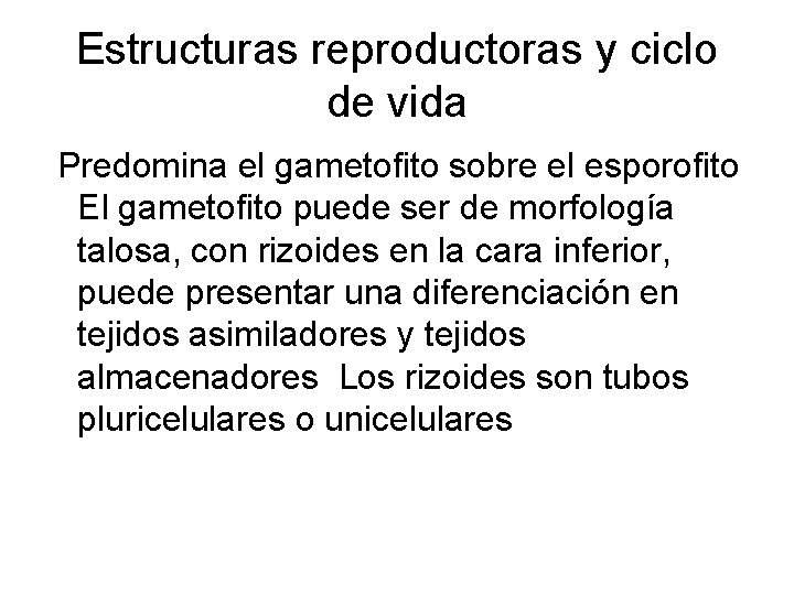 Estructuras reproductoras y ciclo de vida Predomina el gametofito sobre el esporofito El gametofito