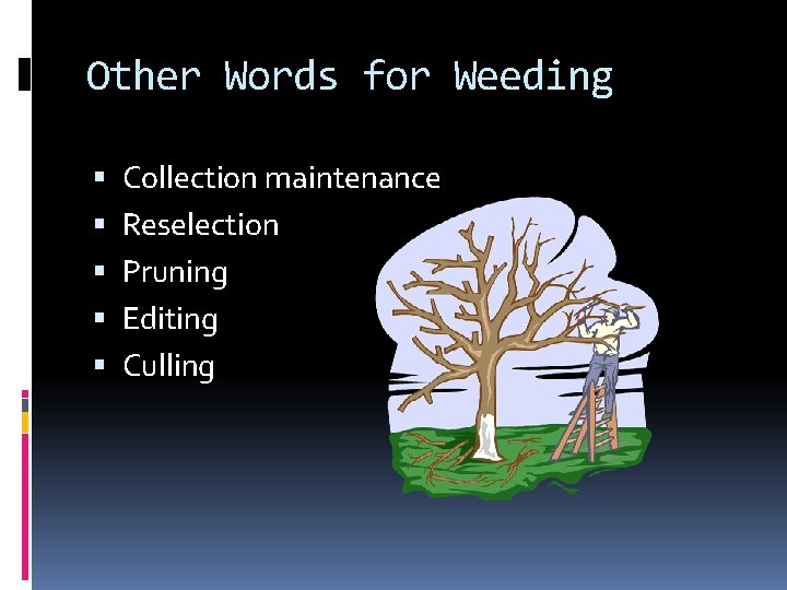 Other Words for Weeding Collection maintenance Reselection Pruning Editing Culling 