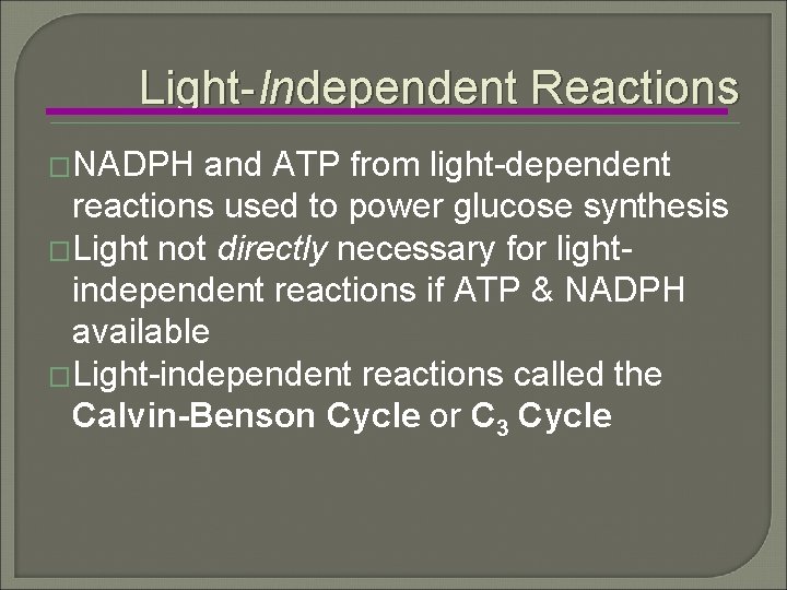 Light-Independent Reactions �NADPH and ATP from light-dependent reactions used to power glucose synthesis �Light