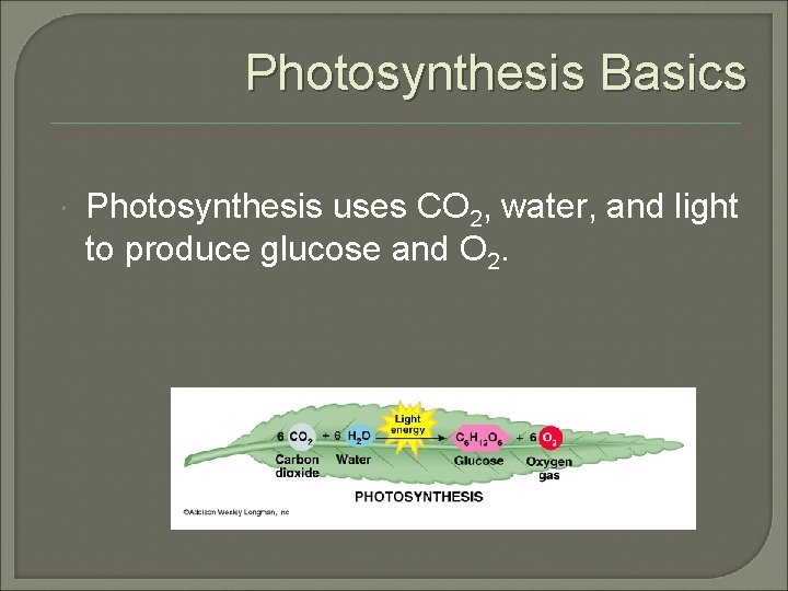 Photosynthesis Basics Photosynthesis uses CO 2, water, and light to produce glucose and O