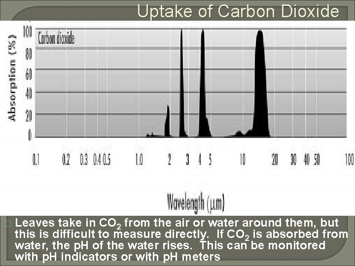 Uptake of Carbon Dioxide � Leaves take in CO 2 from the air or