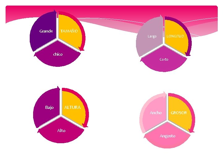 Grande TAMAÑO Largo LONGITUD chico Corto Bajo ALTURA Alto Ancho GROSOR Angosto 
