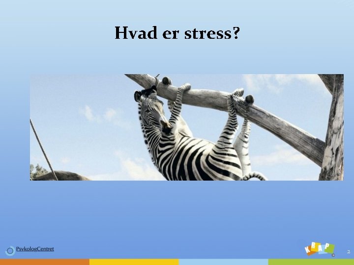 Hvad er stress? 2 