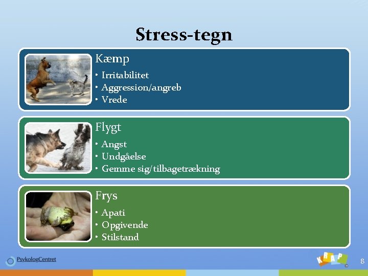 Stress-tegn Kæmp • Irritabilitet • Aggression/angreb • Vrede Flygt • Angst • Undgåelse •