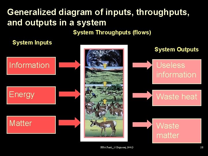 Generalized diagram of inputs, throughputs, and outputs in a system System Throughputs (flows) System