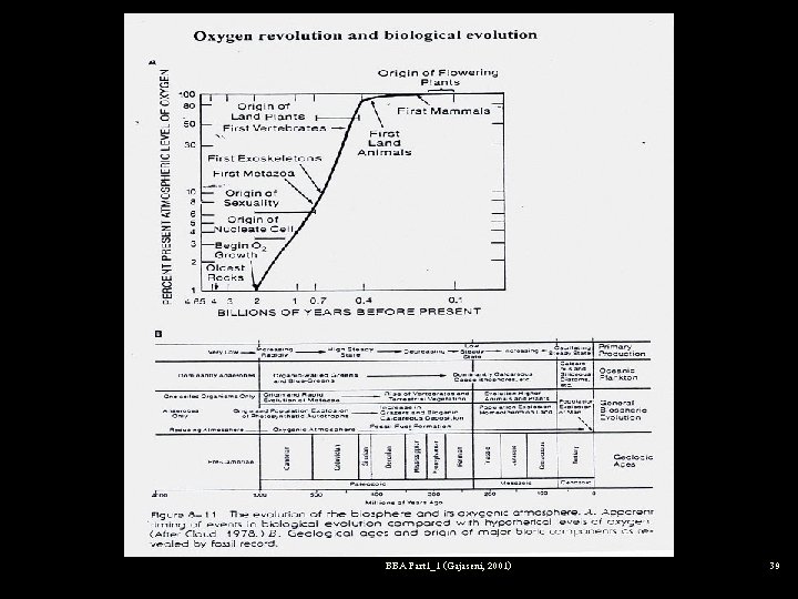 Fig 8 -11 (21(’ BBA Part 1_1 (Gajaseni, 2001) 39 