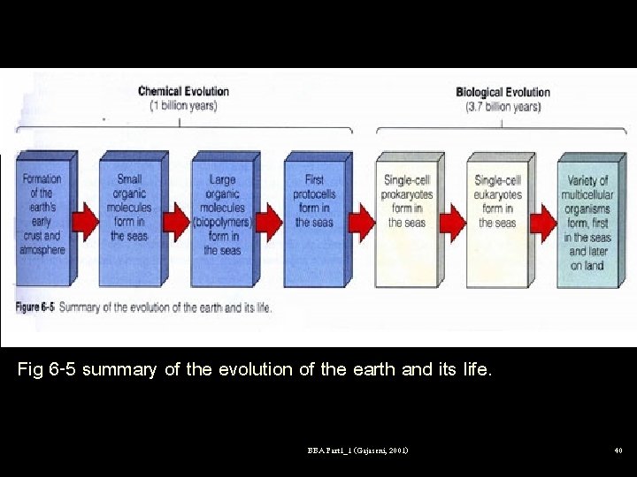 Chemical evolution Biological evolution 1 billion years 3. 7 billion years Transparency 78 Fig