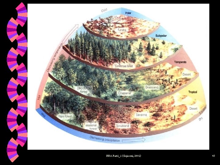 BBA Part 1_1 (Gajaseni, 2001) 43 