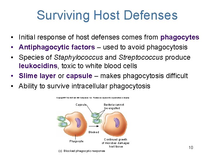 Surviving Host Defenses • Initial response of host defenses comes from phagocytes • Antiphagocytic