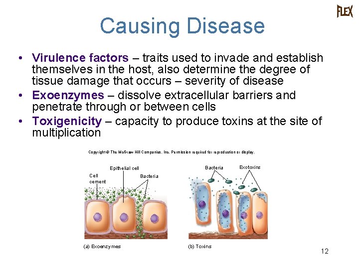 Causing Disease • Virulence factors – traits used to invade and establish themselves in