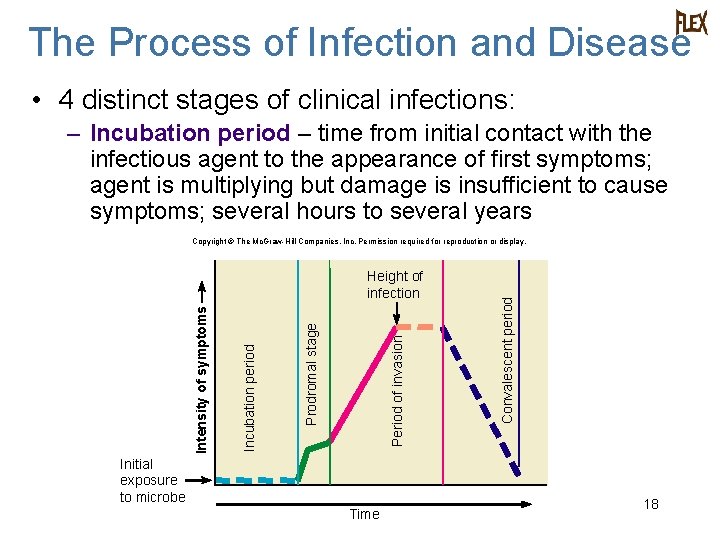 The Process of Infection and Disease • 4 distinct stages of clinical infections: –
