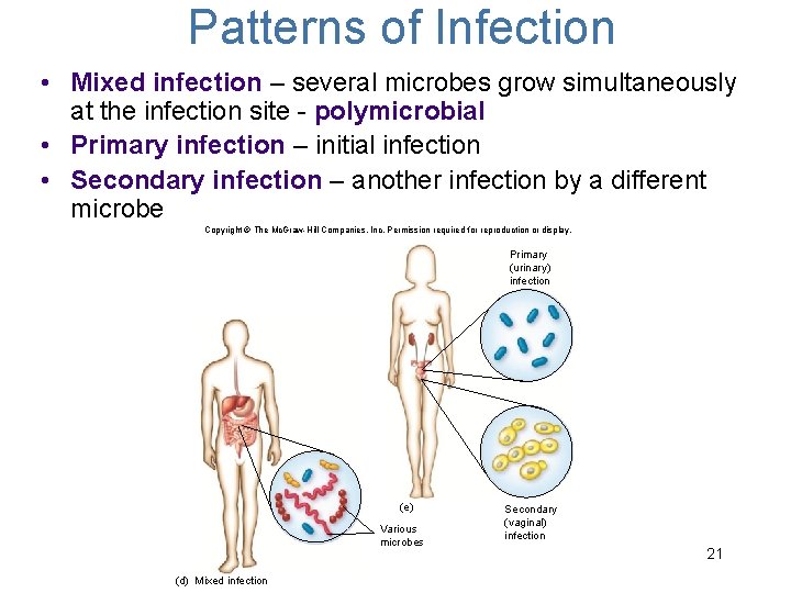 Patterns of Infection • Mixed infection – several microbes grow simultaneously at the infection
