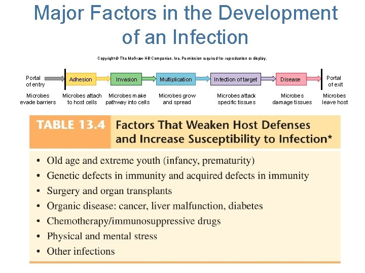 Major Factors in the Development of an Infection Copyright © The Mc. Graw-Hill Companies,