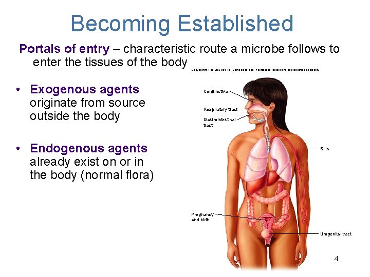 Becoming Established Portals of entry – characteristic route a microbe follows to enter the