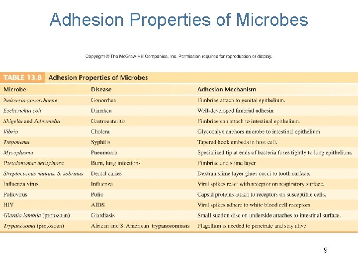 Adhesion Properties of Microbes 9 