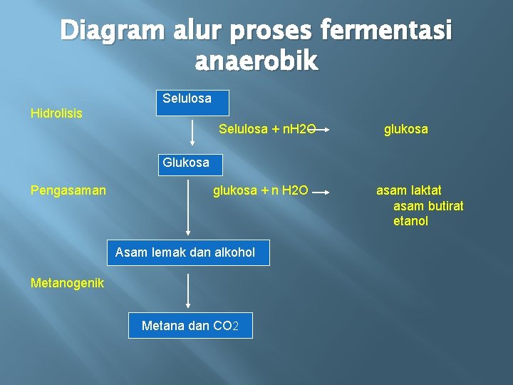 Diagram alur proses fermentasi anaerobik Selulosa Hidrolisis Selulosa + n. H 2 O glukosa