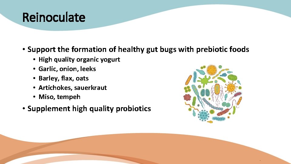 Reinoculate • Support the formation of healthy gut bugs with prebiotic foods • •