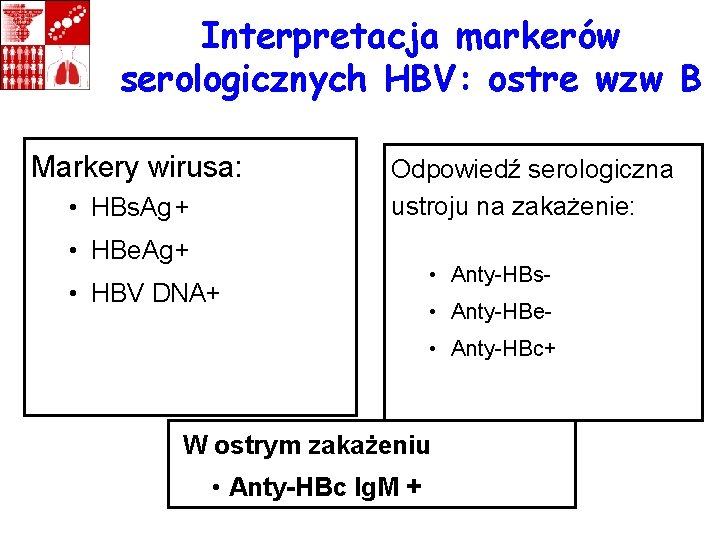 Interpretacja markerów serologicznych HBV: ostre wzw B Markery wirusa: • HBs. Ag + Odpowiedź