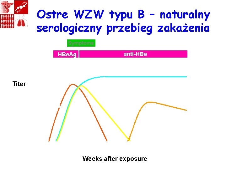 Ostre WZW typu B – naturalny serologiczny przebieg zakażenia Symptoms HBe. Ag anti-HBe Total