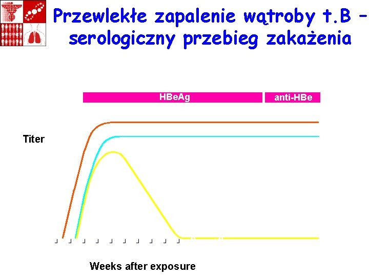 Przewlekłe zapalenie wątroby t. B – serologiczny przebieg zakażenia Acute (6 months) Chronic (years)