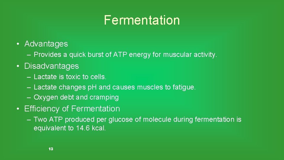 Fermentation • Advantages – Provides a quick burst of ATP energy for muscular activity.