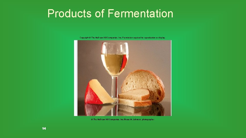 Products of Fermentation Copyright © The Mc. Graw-Hill Companies, Inc. Permission required for reproduction