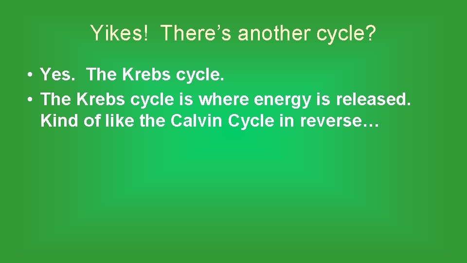 Yikes! There’s another cycle? • Yes. The Krebs cycle. • The Krebs cycle is