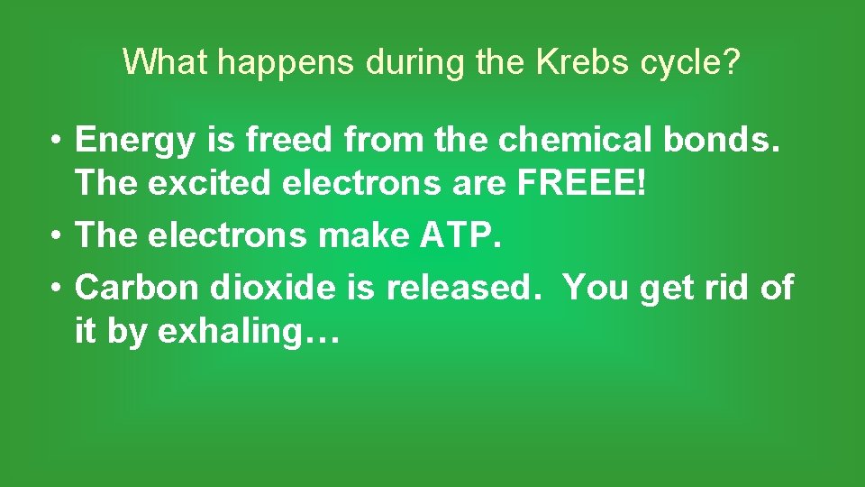 What happens during the Krebs cycle? • Energy is freed from the chemical bonds.