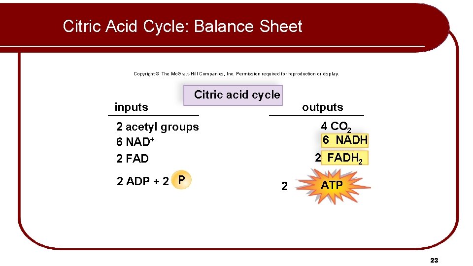 Citric Acid Cycle: Balance Sheet Copyright © The Mc. Graw-Hill Companies, Inc. Permission required