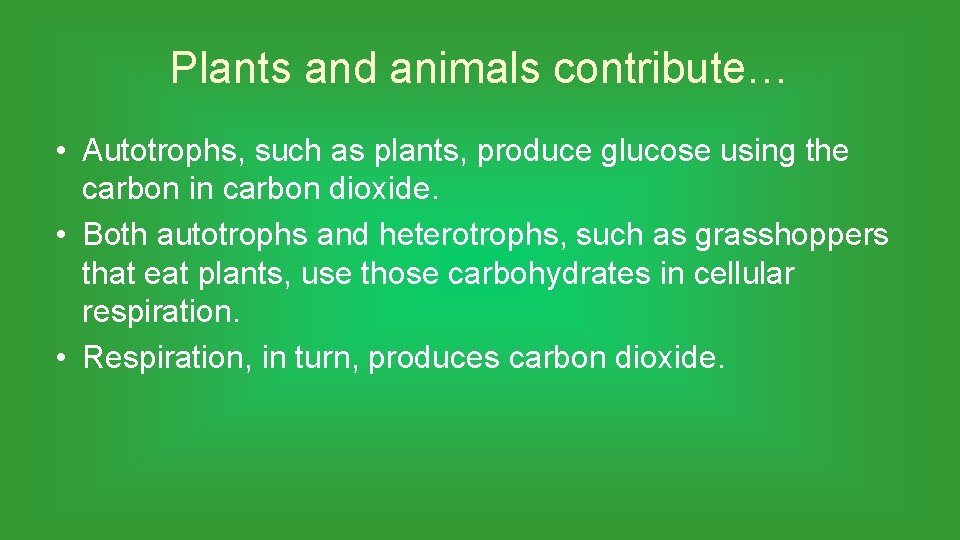 Plants and animals contribute… • Autotrophs, such as plants, produce glucose using the carbon