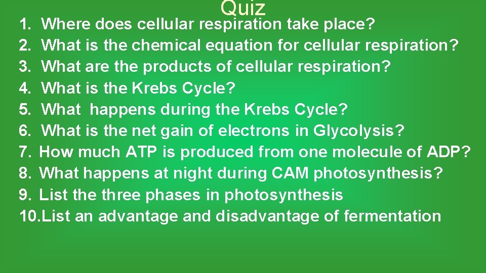 Quiz 1. Where does cellular respiration take place? 2. What is the chemical equation