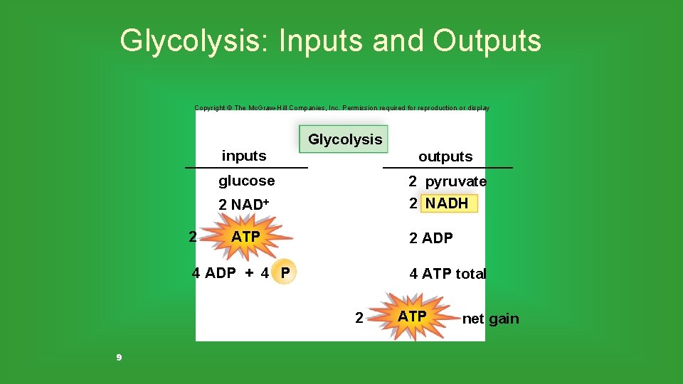 Glycolysis: Inputs and Outputs Copyright © The Mc. Graw-Hill Companies, Inc. Permission required for