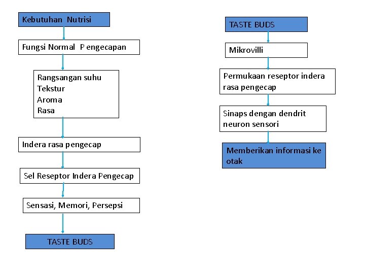 Kebutuhan Nutrisi Fungsi Normal P engecapan Rangsangan suhu Tekstur Aroma Rasa Indera rasa pengecap