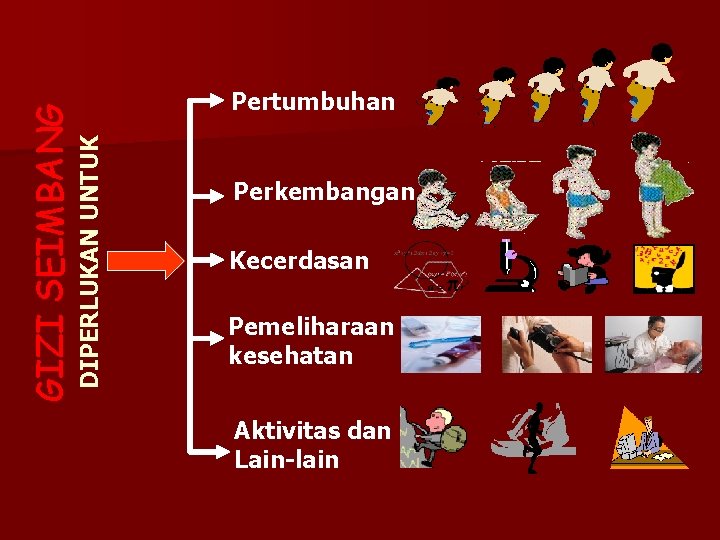 DIPERLUKAN UNTUK GIZI SEIMBANG Pertumbuhan Perkembangan Kecerdasan Pemeliharaan kesehatan Aktivitas dan Lain-lain 