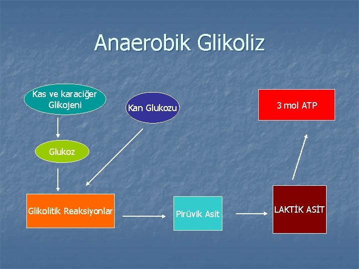 Anaerobik Glikoliz Kas ve karaciğer Glikojeni Kan Glukozu 3 mol ATP Glukoz Glikolitik Reaksiyonlar
