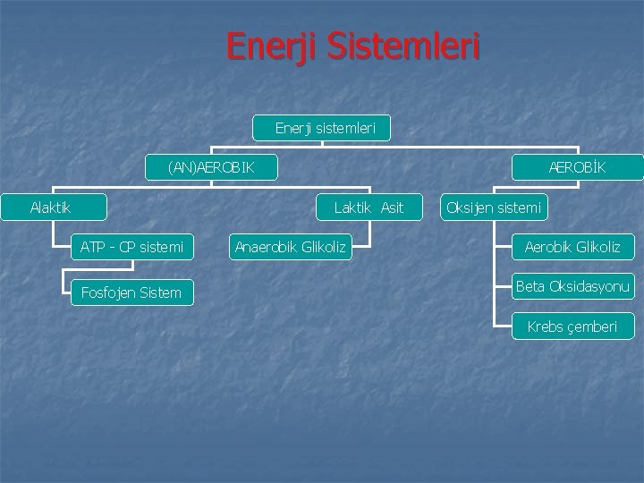 Enerji Sistemleri Enerji sistemleri (AN)AEROBIK Alaktik AEROBİK Laktik Asit ATP - CP sistemi Fosfojen