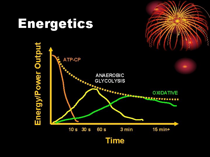 Energy/Power Output Energetics ATP-CP ANAEROBIC GLYCOLYSIS OXIDATIVE 10 s 30 s 60 s 3