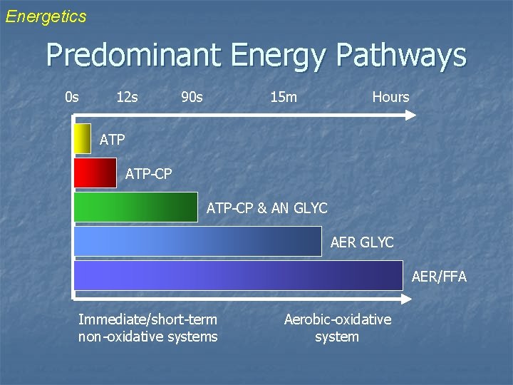 Energetics Predominant Energy Pathways 0 s 12 s 90 s 15 m Hours ATP-CP