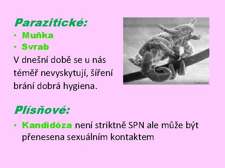 Parazitické: • Muňka • Svrab V dnešní době se u nás téměř nevyskytují, šíření