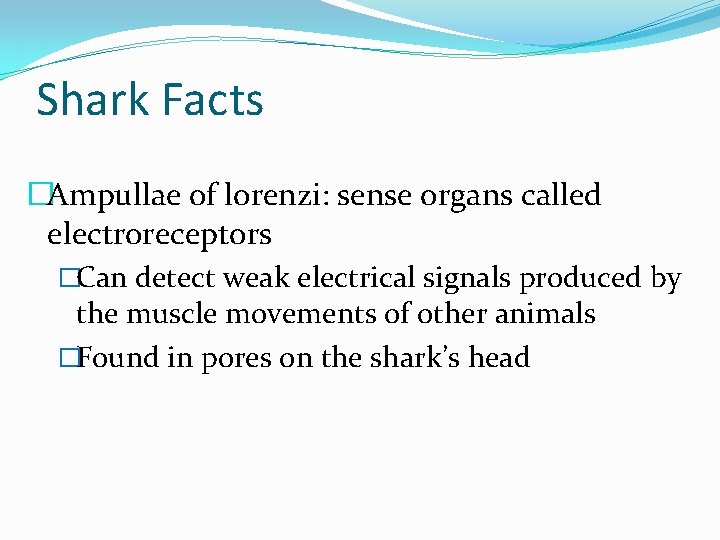 Shark Facts �Ampullae of lorenzi: sense organs called electroreceptors �Can detect weak electrical signals