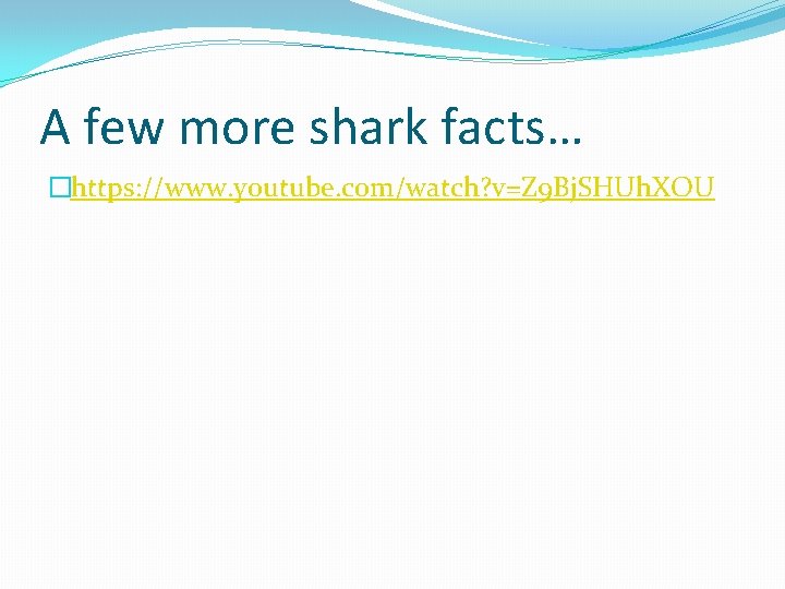 A few more shark facts… �https: //www. youtube. com/watch? v=Z 9 Bj. SHUh. XOU