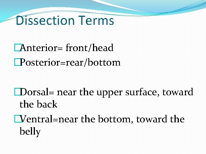 Dissection Terms �Anterior= front/head �Posterior=rear/bottom �Dorsal= near the upper surface, toward the back �Ventral=near