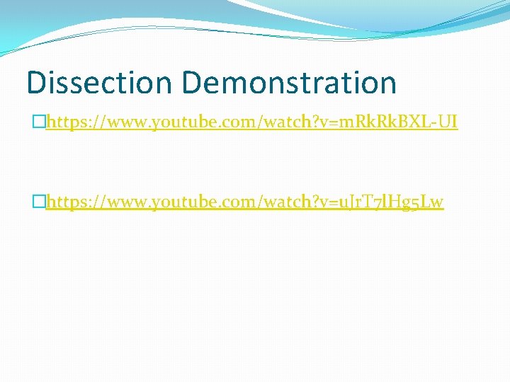 Dissection Demonstration �https: //www. youtube. com/watch? v=m. Rk. BXL-UI �https: //www. youtube. com/watch? v=u.