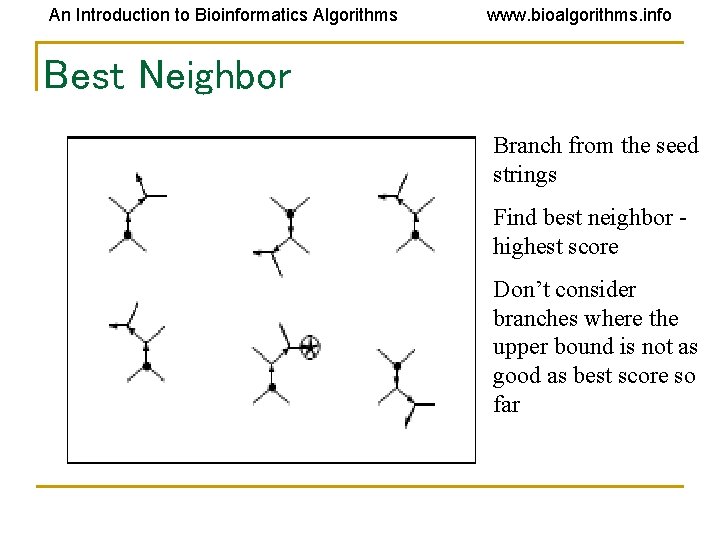An Introduction to Bioinformatics Algorithms www. bioalgorithms. info Best Neighbor Branch from the seed