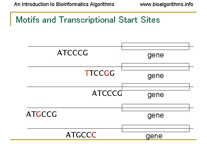 An Introduction to Bioinformatics Algorithms www. bioalgorithms. info Motifs and Transcriptional Start Sites ATCCCG