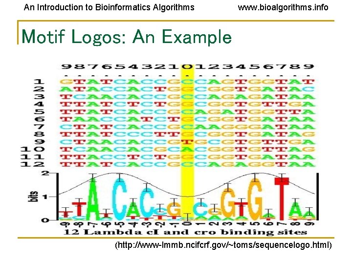 An Introduction to Bioinformatics Algorithms www. bioalgorithms. info Motif Logos: An Example (http: //www-lmmb.